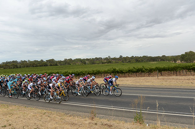 Peloton